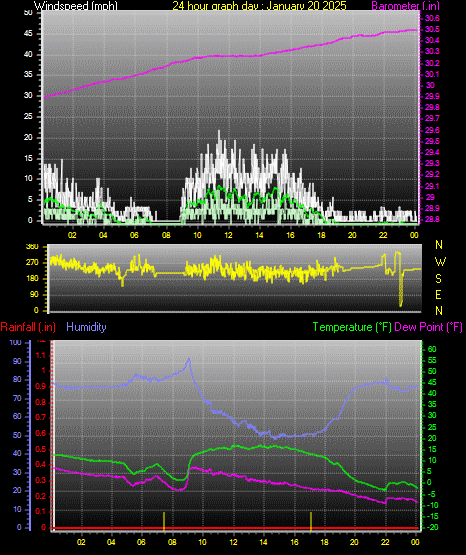 24 Hour Graph for Day 20