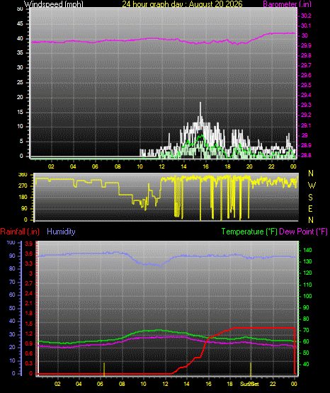 24 Hour Graph for Day 20