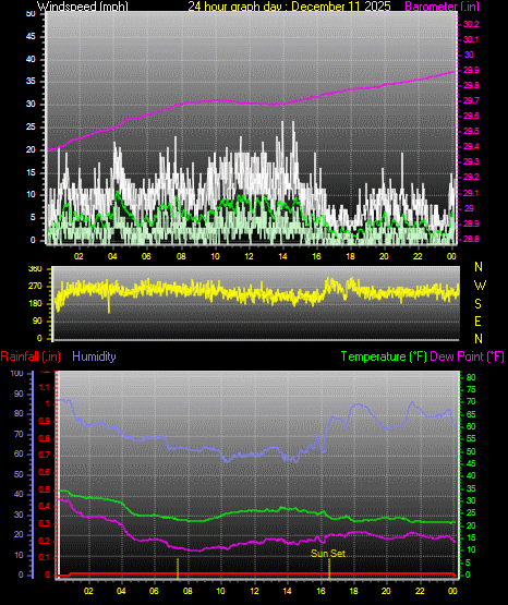 24 Hour Graph for Day 11